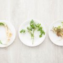 연세드림마취통증의학과의원 이미지