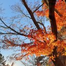 와룡산청룡사앞 이미지