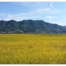 명은농장 이미지