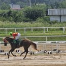 렛츠런파크 티스토리