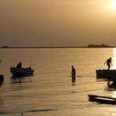 영원 태양광발전소 이미지