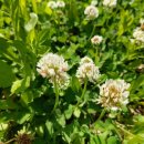 추억만들기 이미지