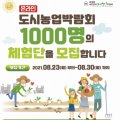 행잉플랜트 공기정화식물체험 이미지