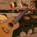 (초보자를 위한) 우쿨렐레 이미지