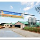 종돈농장 이미지