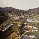 진마루마을 이미지