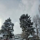 신사2-047 이미지