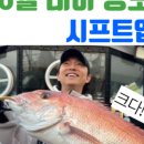 블라썸테크놀로지