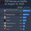 넷플릭스 카카오 검색결과