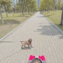 여울공원 족구장 | 동탄 여울공원 음악분수 신나는 아기와 가족나들이