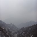 신당 이미지