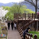 나무테크 이미지