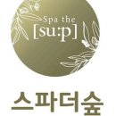 스파더숲 이미지