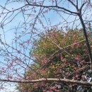 칠십리로 이미지