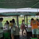 봉정연꽃마을 이미지