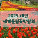 [충남 태안] 코리아플라워파크 &#34;2025 태안 세계튤립꽃 박람회&#34; 방문후기