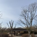 황골길 | '그랜드뷰아일랜드' 방문 후기(서울 근교 대형카페)