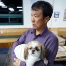 마구와 당구장 이미지