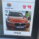 스카이덴트칼라