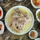 약수골오리 | 백련산 산속에서 즐기는 압력솥 백숙 [ 백련약수골 ] 후기