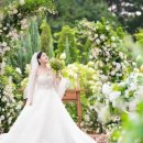 히든 포레 이미지