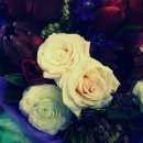 손호영한의원 이미지