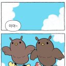 노란부엉이