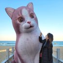 바른치킨강릉 네이버블로그