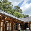 빈내리커피 | 경주 아이랑 가볼만한 곳 | 버드파크 할인, 동궁원 식물원 카페, 소솜당 식당 (아주 솔직한 후기)