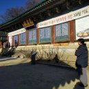 파란지 이미지
