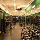 짐 핏 부산 이미지