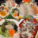신선 낙지 | 용인보정동카페거리맛집 미스터오징어 신선한 회와 산낙지 세트 후기