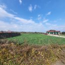 토생금공인중개사사무소 이미지