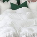 헬로우덕