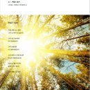 꽃의계절 이미지