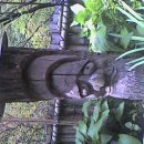 은현고추 이미지