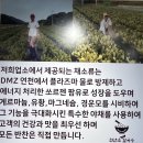 천년초우리밀칼국수
