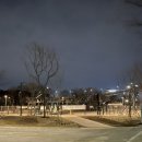 놀이터 | 새로 생긴 양화반려견놀이터 방문 후기