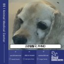 봉선아이동물메디컬센터 이미지