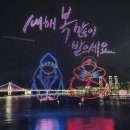 용인대 송향태권도장 이미지