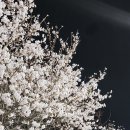 가로수헤어 - 목포시 | 가로수헤어