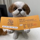 스무해 동물병원 이미지