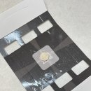 트랩 | 페스트세븐 좀벌레트랩 실사용 후기(+후기 사진)