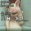 큰입작은입 이미지
