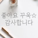 가우디쥬니어미술학원
