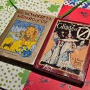 공항도시종합회타운 건너편 | 호주 시드니 여자 혼자 여행 1일차 일정 (국립 해양 박물관, 하이드 공원, 뉴사우스웨일 아트 갤러리...