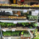 제일농약사 이미지