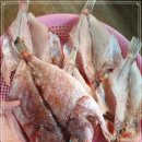12월 14일(목) 목포는항구다 생선카페 판매생선 [ ＜건조생선＞ 쏨팽이, 열기 / 새꼬막 / 갈치쌈장젓, 파백명란젓 ] 이미지