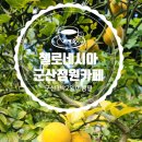 첼로별관 | 군산카페 첼로네시아 – 숨은 정원과 감성 가득한 공간