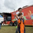 황금개구리 | 🦗 2025 성주 가야산 황금들녘 메뚜기축제 다녀왔어요